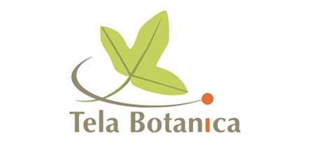 Tela botanica réseau des botanistes francophones